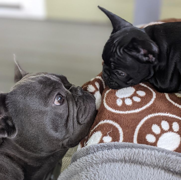 da398f5d3b99425f3c4d384ff5