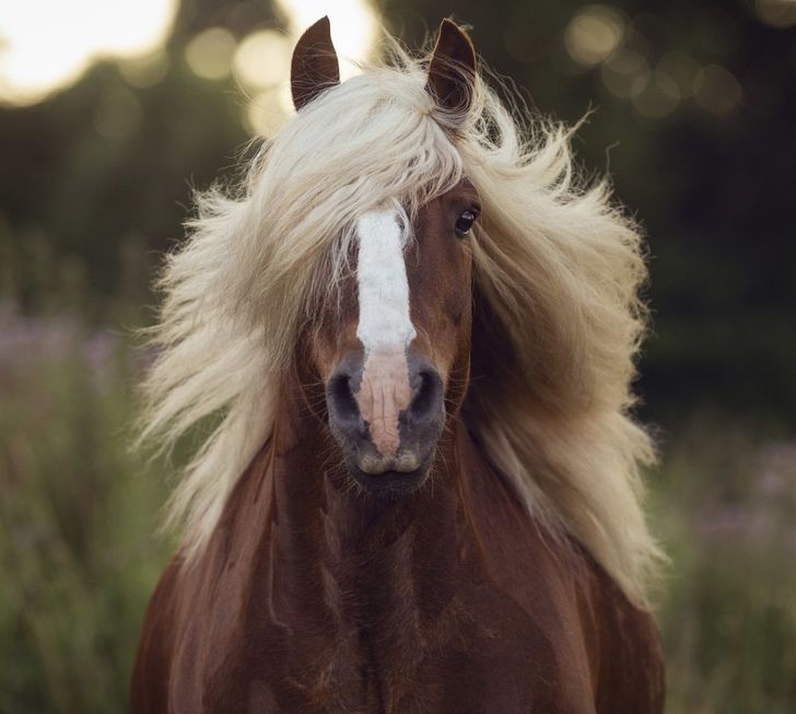 da3cd4518dae515c17c9ef54eb