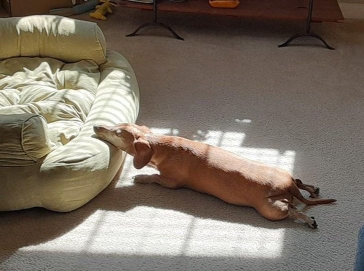 da3ebe57c79bae03c1958b5a7c