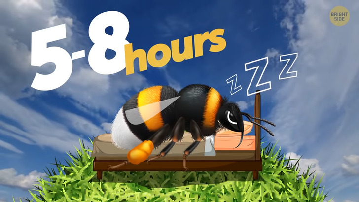 da42d45b45af6c1bca07551d33