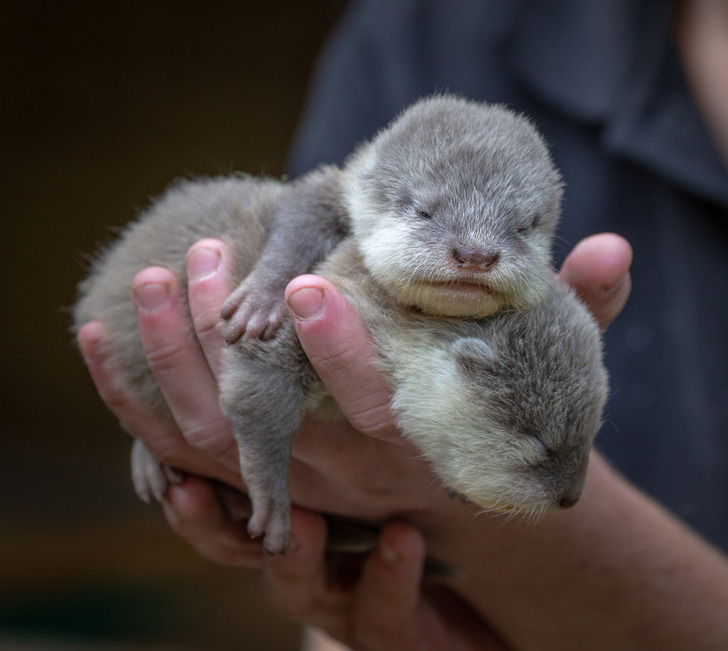 da431056359ae8f54f1040f07e