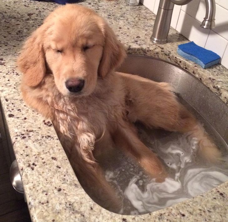 da470c55ddb374ef3188dccc50