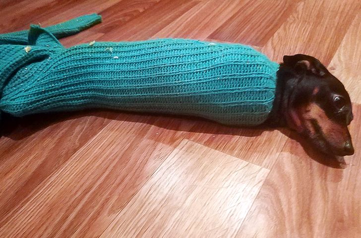 da4ef252a7881c559be23490c4