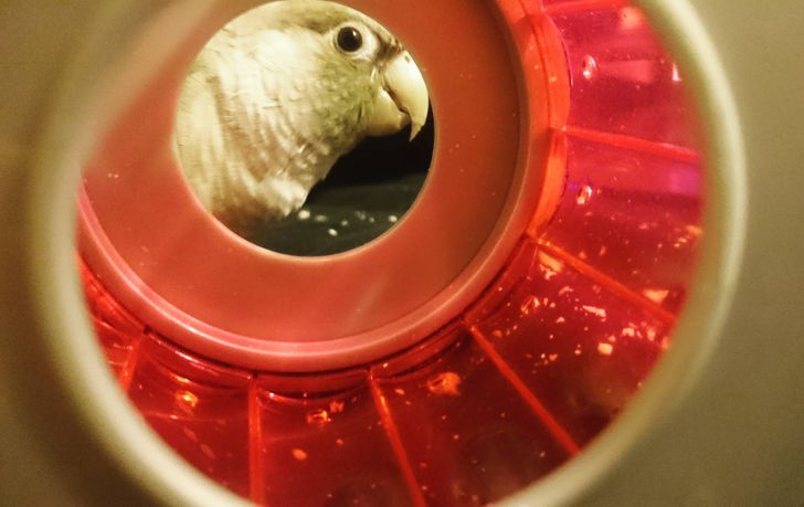 da523d54e89ef0d0090b810aee