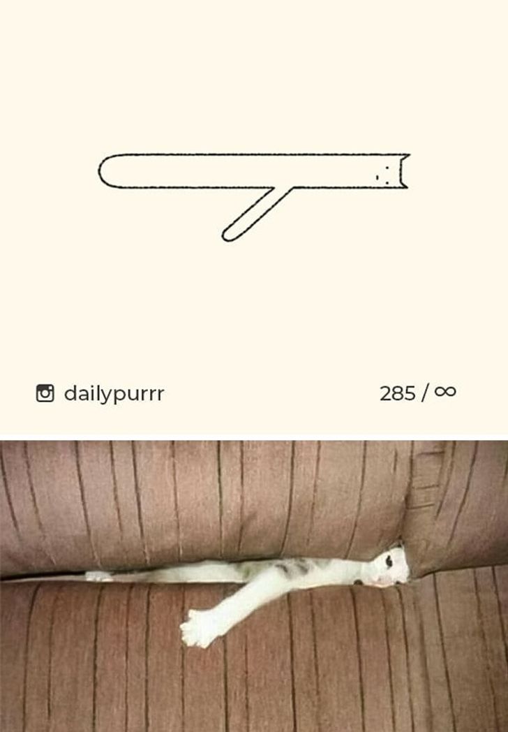 da52b95fe1942616b5e7019da6