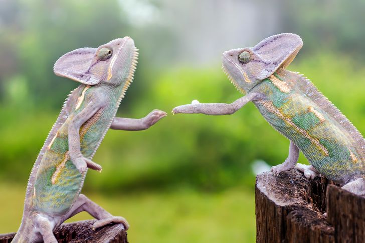 da59d25150a1c54a016545ab07