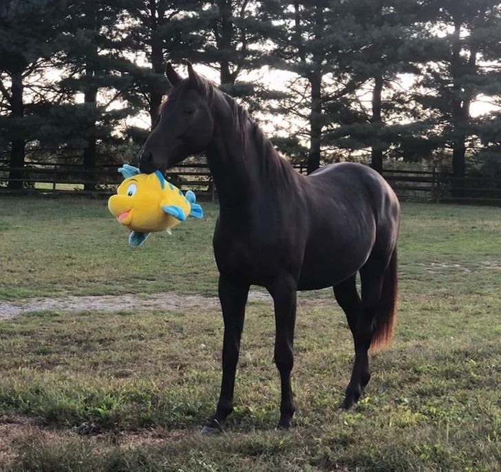 da65705460910f838daae478c7