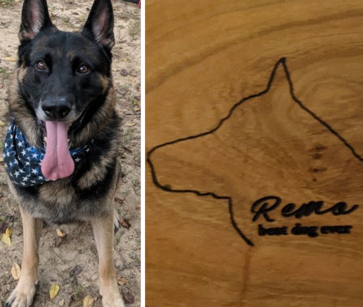 da67a25361a2634fbb6e2faac5