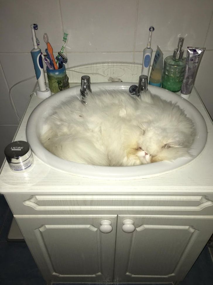 da6abf5cb9b69df8f3c29f733f