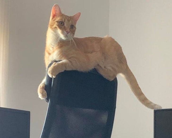 da701e5c53813a569323be2388