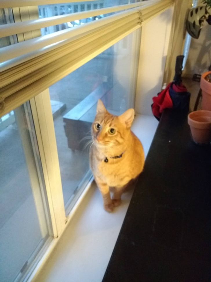 da72da5272bab8d62ff8fcb4d3