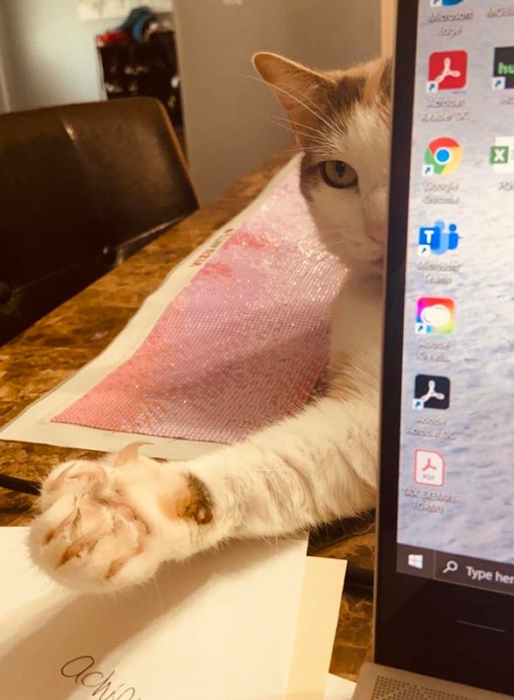 da771056afbb7a976d82a458a8