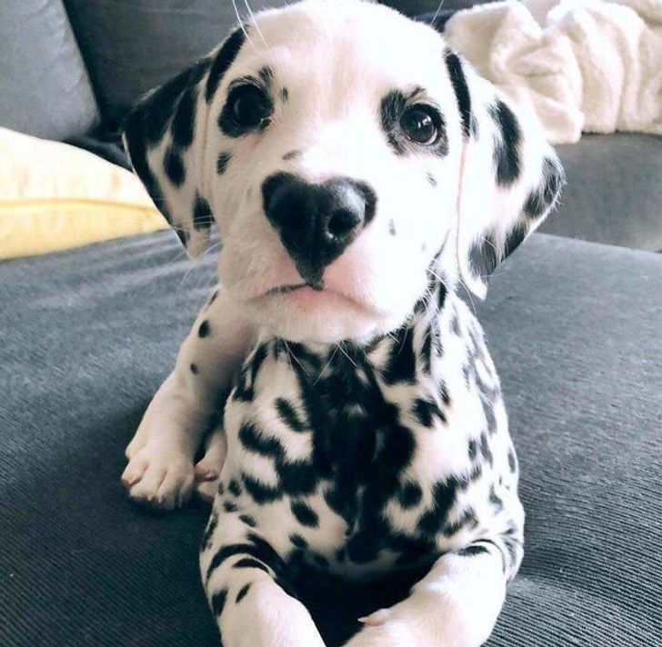 da7b395ad88e304009aeefc65c