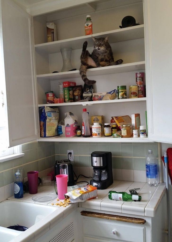 da7ef85a358937724433ac504d