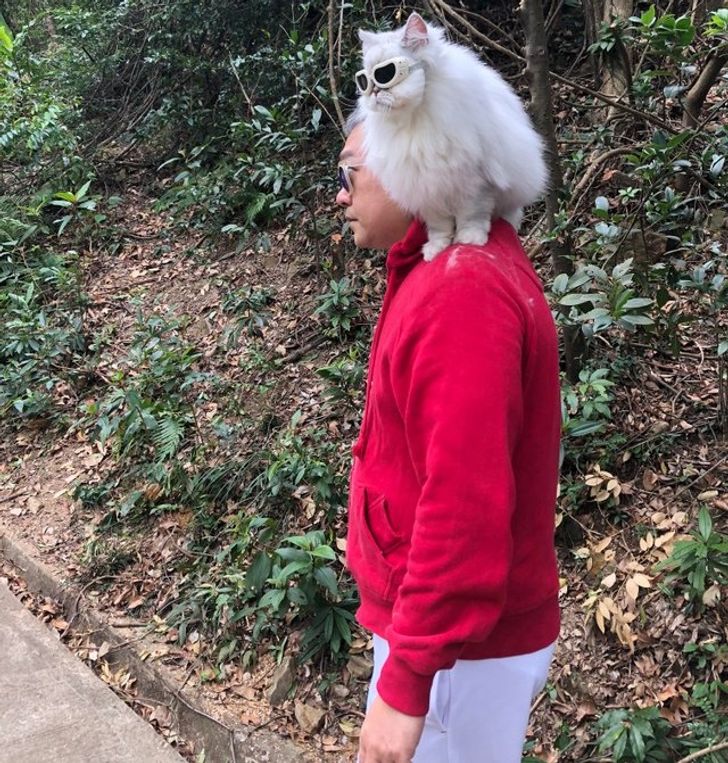 da856c508e85faae5811294dfc