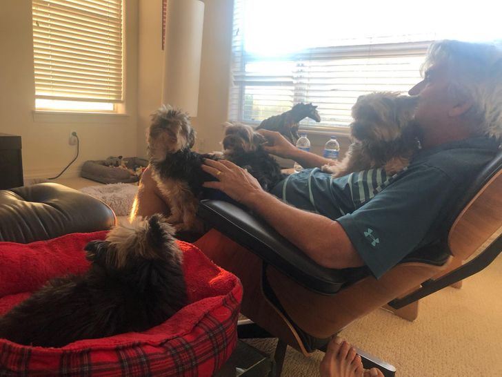 da861d50d5a60d7f154074f0c9