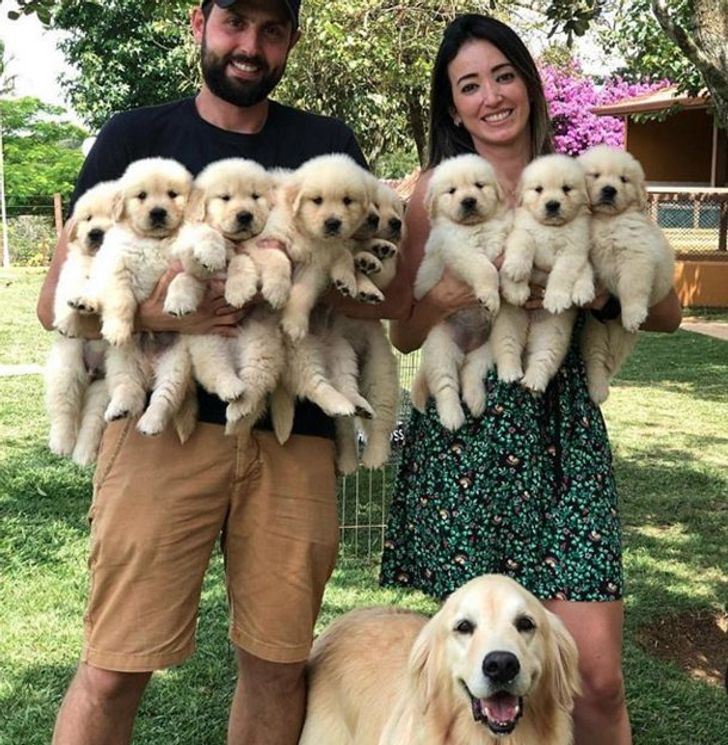 daaa255189b9f4106877edd1cb