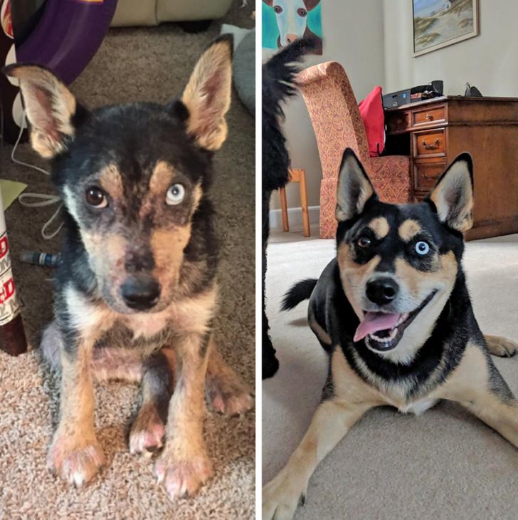 daaa5552eb824903a77ce782cd