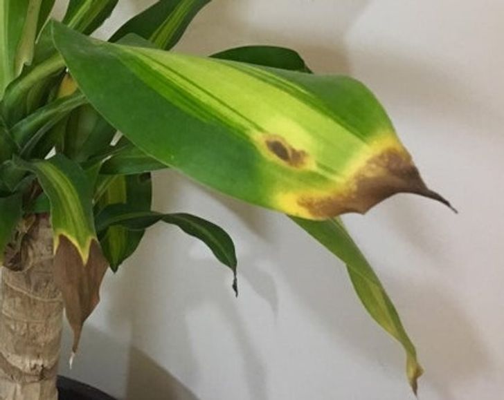 daaea45988bfb4ba3ea05cb941