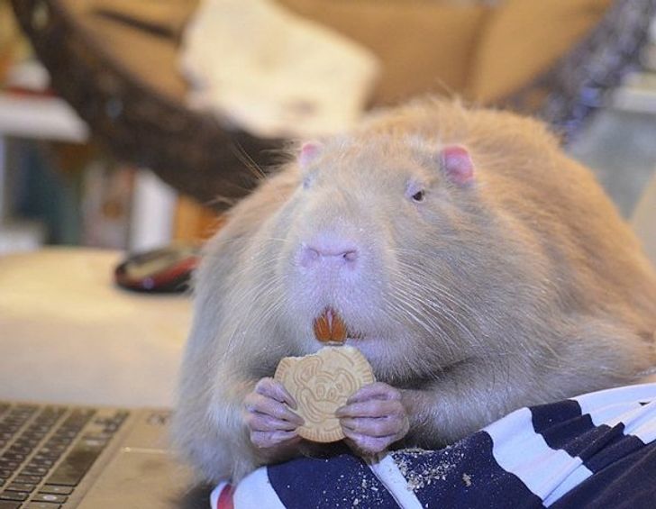 dab5875f9d8d2477d30e5a6f8a