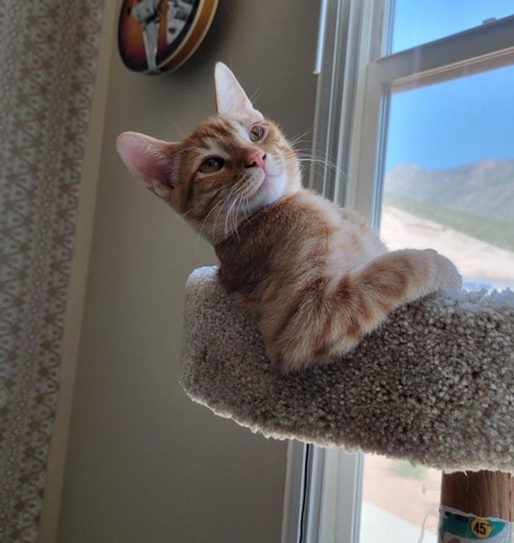 dab9355774b2c11d9d8d5cba54 dab9355774b2c11d9d8d5cba54