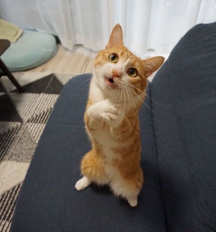 dabd65530f86965e13fbe171cf