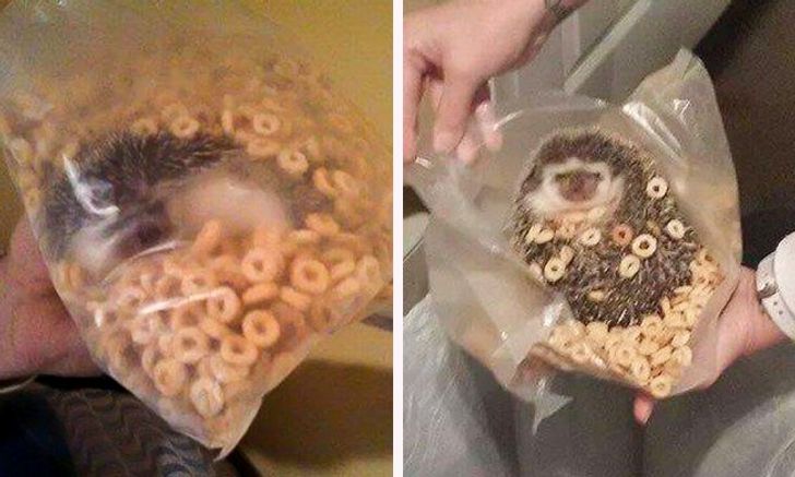 dabddf52b295d2e96ebd5b8364