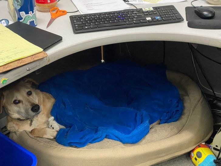 dabe895b6d8cf208468fa18616