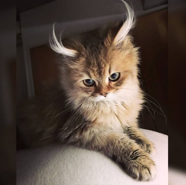 dac49a50e0a148fc991977a839