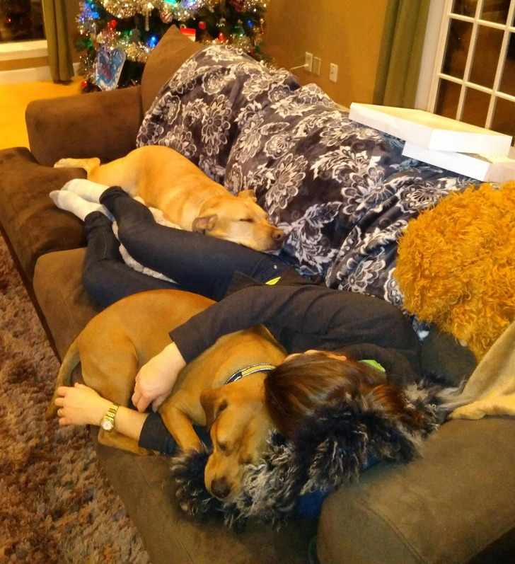 dacaa9517d9547d02d5fa1666e