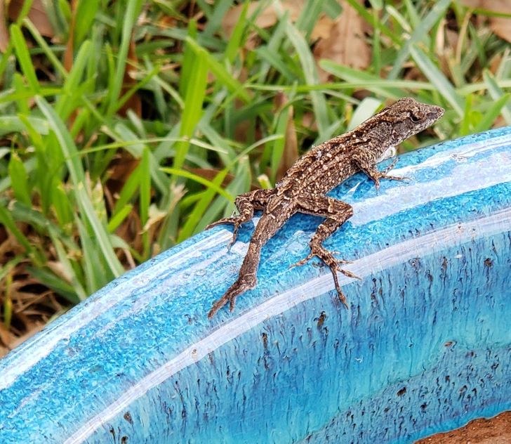 dada1d56af978dbe88b9d4d2b1