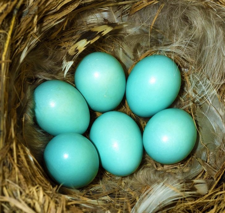 daecd95e05bb0ded0ffafbe9ba