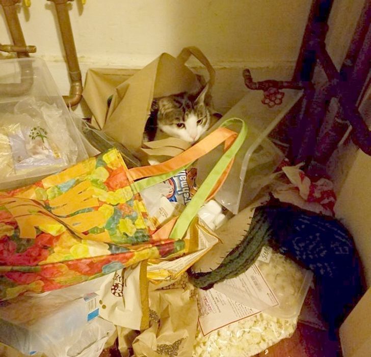 daeeb45c08ba049355b2d45b51