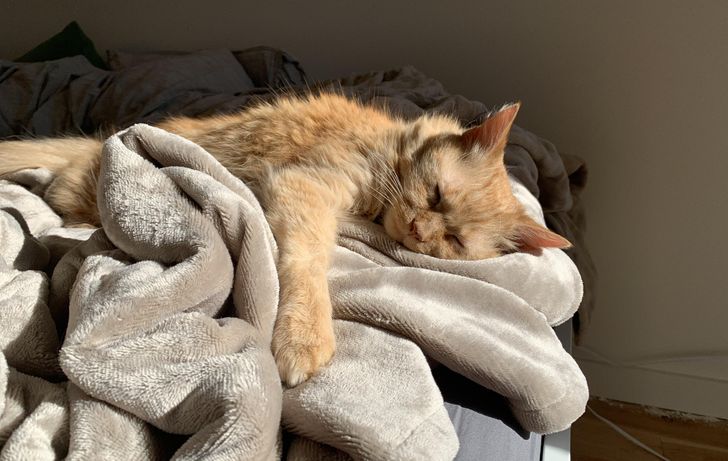 daf284578abf0c4ac91f933281