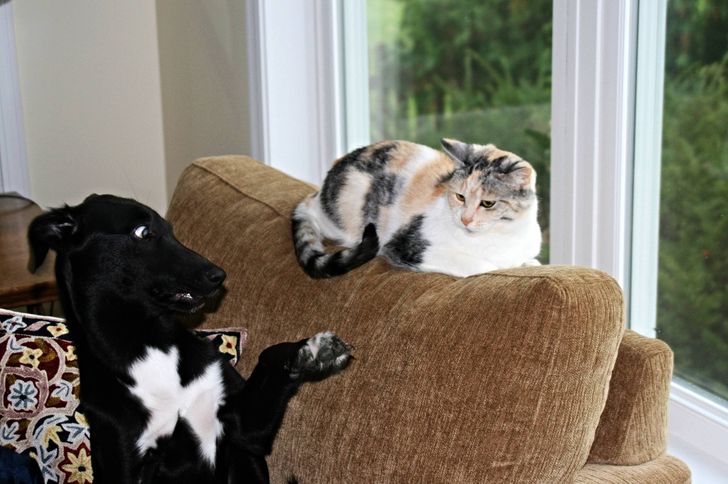 daf92b5d1d926d2a67534b0e53