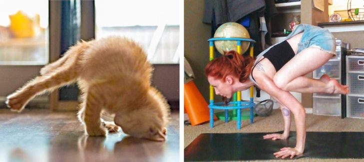 dafffe56afbaad719788ab279a