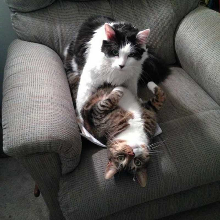 db05da51798be87ad7909fd1fa