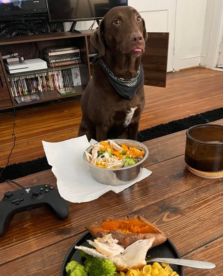 db065d5632a2c74ac1ffc8a812