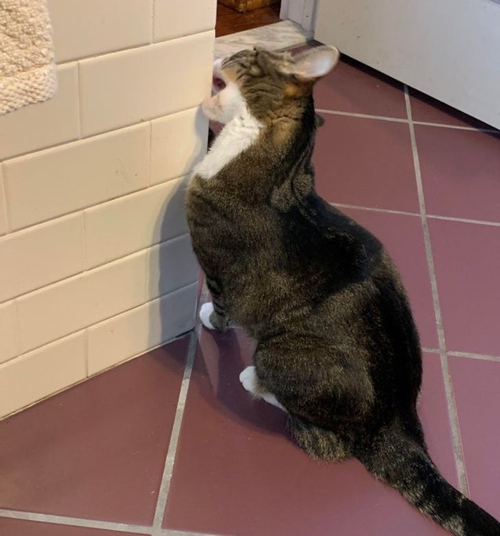 db07215762be0bc2ecef781078