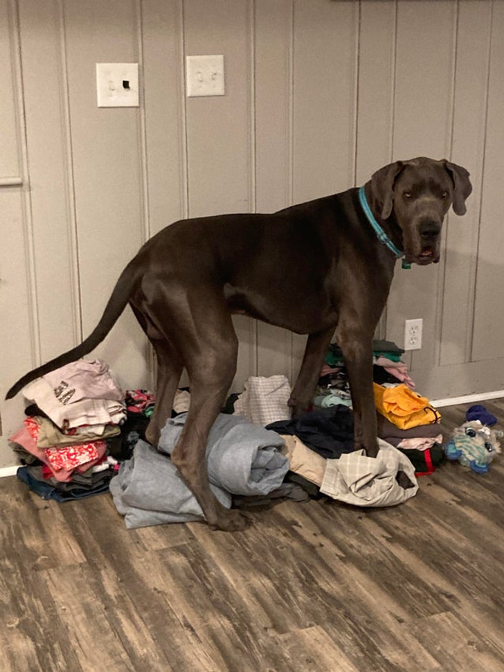 db0d275f7eb20baa097719d941 db0d275f7eb20baa097719d941