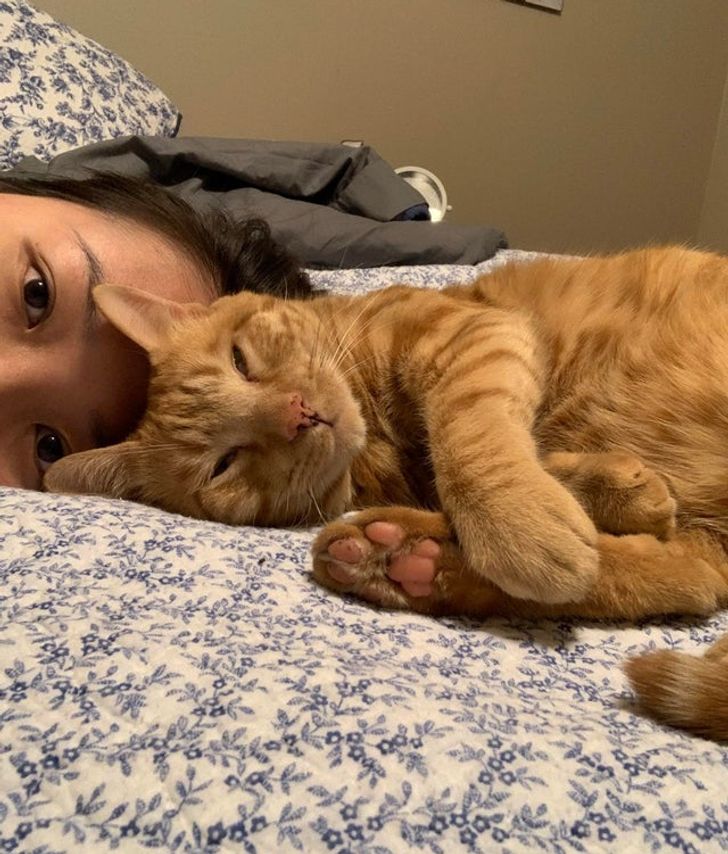 db166d5d1c94a84d0cf537d1fe