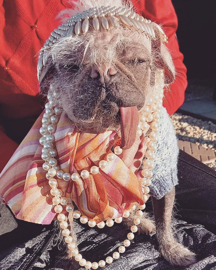 db17165a65b6aa6229278d16ff