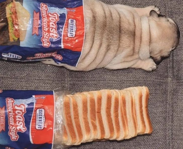 db18805cdfa56b3e94720da9d1