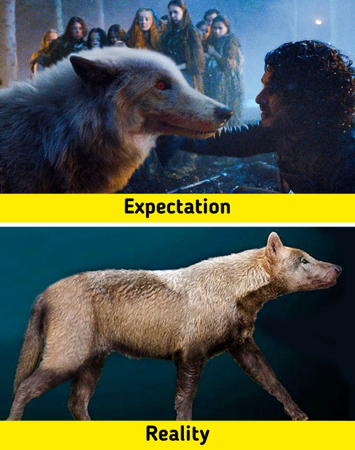 db286d539ba1d5bd4ae055d2bf