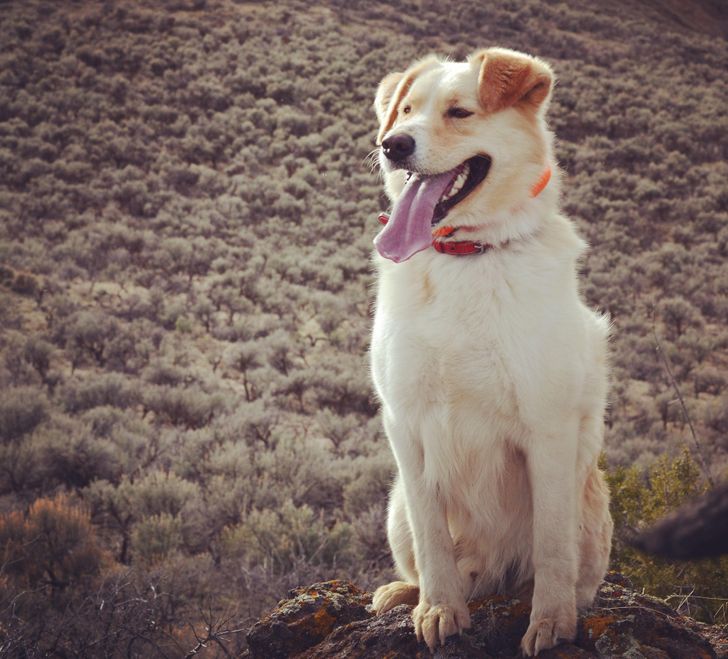 db2cda51c1bcfc2efc09fe7738