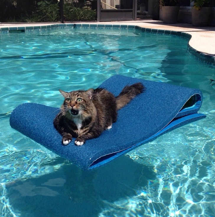 db30aa5597be52ad56491b1597 db30aa5597be52ad56491b1597