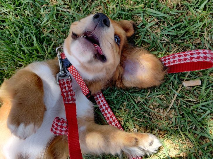 db32ad52bfbf9acaa3ed5fd9f7