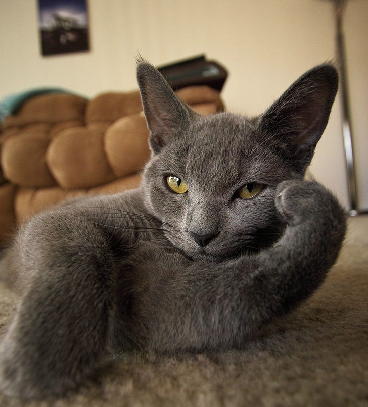 db44dd528795e45416d4331e89