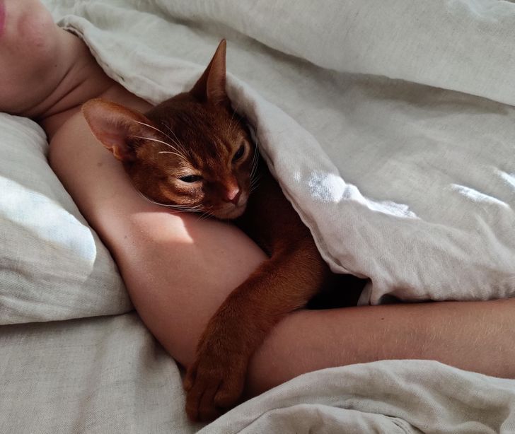 db509a5edd881f6b85c5e227ef