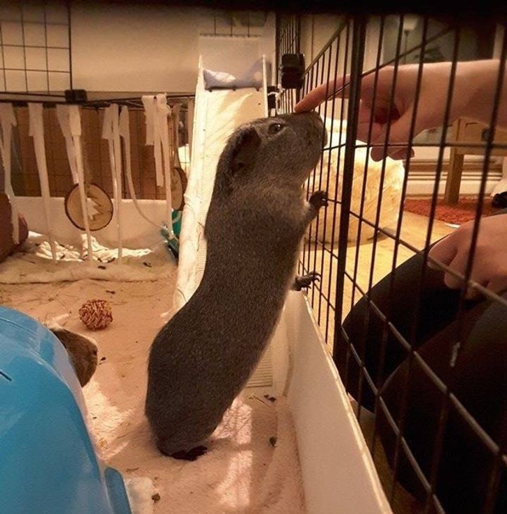 db570c599aa2162fde011d5205